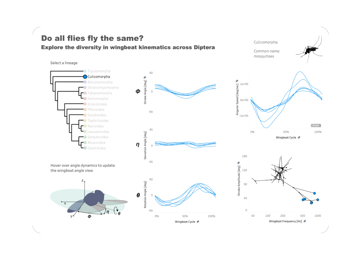 Interactive Data Visualization